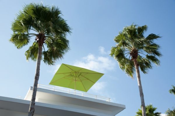 PRIMUS Caravita Sonnenschirm PRIMUS Caravita Sonnenschirm